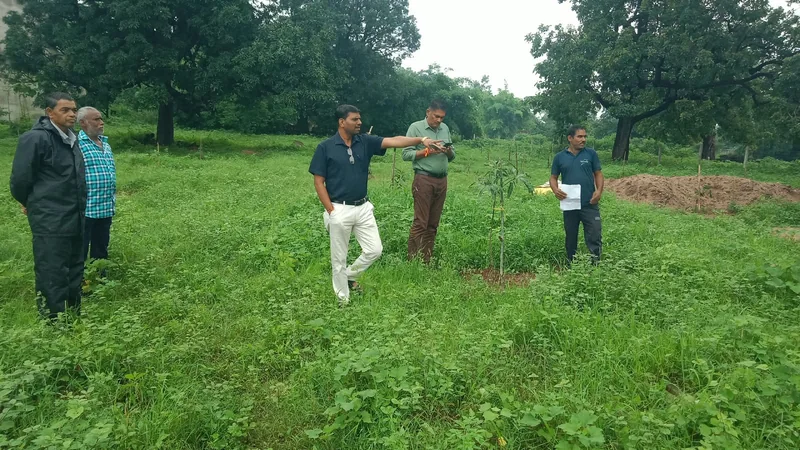 ‘एक बगिया मां के नाम’ योजना बनी लीला बाई की आजीविका का आधार घर-आंगन में अब दिखने लगी आत्मनिर्भरता की नई उम्मीद